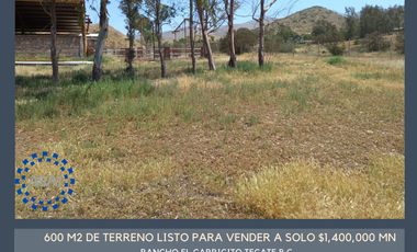 Terreno Campestre en venta en Tecate, Rancho EL Carricito