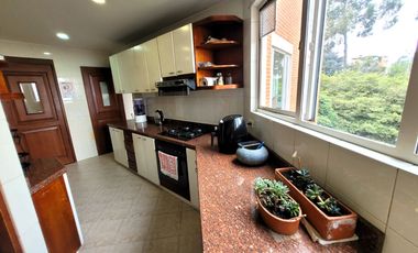 CARLU, rriendo apartamento en Chapinero alto, Bogota