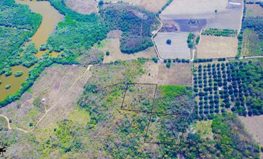 HECTAREA EN VENTA A SOLO 30 MINUTOS DE BAHIAS  HUATULCO, OAXACA.