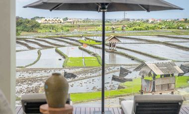 BEST PADDY VIEWS VILLA in CANGGU - BABAKAN