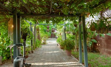 White Lotus River House