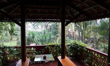 White Lotus River House