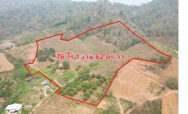 Most beautiful plot in Mae Chan District!! 76 Rai 1 Ngan 62 Sq.W Land for SALE with Natural Mountain Views, Perfect for a Luxury Resort! Near Pa Tueng