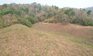 Most beautiful plot in Mae Chan District!! 76 Rai 1 Ngan 62 Sq.W Land for SALE with Natural Mountain Views, Perfect for a Luxury Resort! Near Pa Tueng