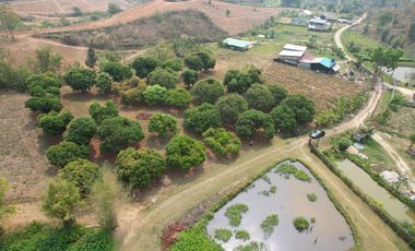 Most beautiful plot in Mae Chan District!! 76 Rai 1 Ngan 62 Sq.W Land for SALE with Natural Mountain Views, Perfect for a Luxury Resort! Near Pa Tueng