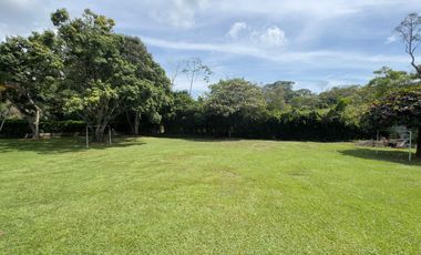 VENTA DE FINCA EN POTRERITO  ID 817