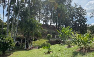 VENTA DE FINCA EN POTRERITO  ID 817