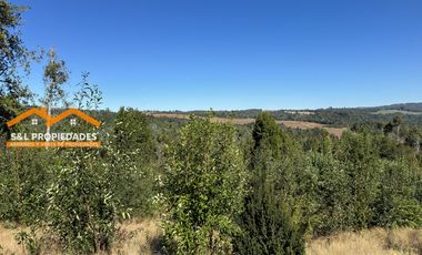 Parcela En Venta En Los Muermos