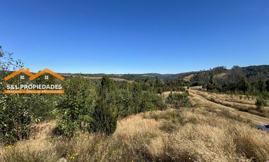 Parcela En Venta En Los Muermos