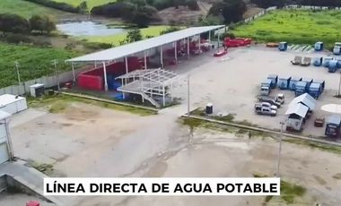 Terreno agricola en alquiler en Via a la Costa Km41
