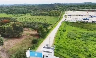 Terreno agricola en alquiler en Via a la Costa Km41