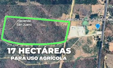 Terreno agricola en alquiler en Via a la Costa Km41