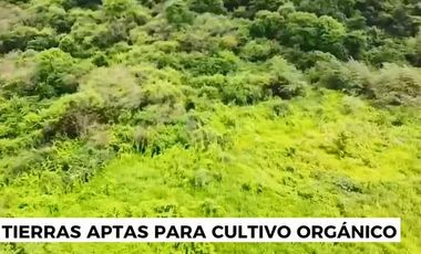 Terreno agrícola en alquiler en Via a la Costa Km41