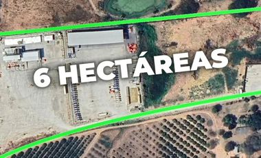 Terreno agrícola en alquiler en Via a la Costa Km41