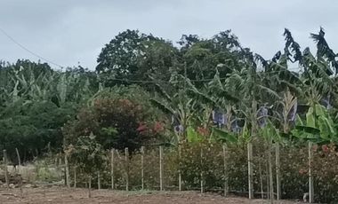 terreno de venta en el aromo manta E/Z