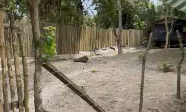 terreno de venta en manta ruta spondylus E/Z