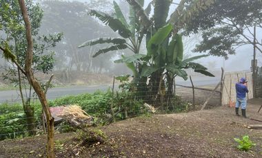 terreno de venta en manta ruta spondylus E/Z