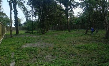 terreno de venta en manta ruta spondylus E/Z