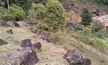 Venta hermoso Lote, Vereda Sabaneta, Copacabana Antioquia.