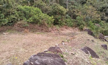 Venta hermoso Lote, Vereda Sabaneta, Copacabana Antioquia.