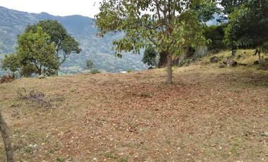 Venta hermoso Lote, Vereda Sabaneta, Copacabana Antioquia.