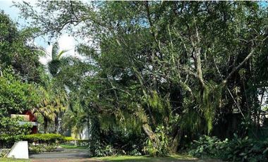 VENTA ✨ Majestuosa Casa Colonial en Arroyo Hondo, Yumbo – Refugio de Elegancia y Naturaleza ✨