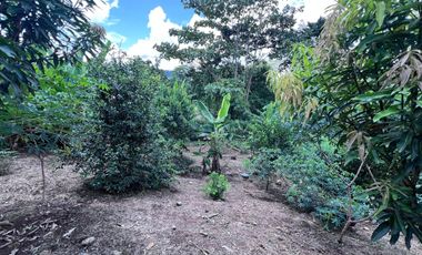 TERRENO DE VENTA, URBANIZACION, FINCA, QUINTA, HACIENDA, LOTIZACION, SECTOR PUERTO QUITO, PEDRO VICENTE MALDONADO , PICHINCHA, ECUADOR.