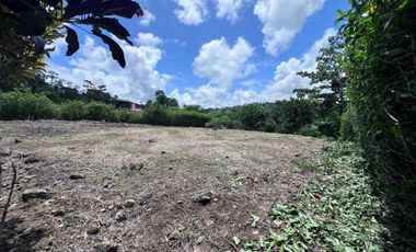 TERRENO DE VENTA, URBANIZACION, FINCA, QUINTA, HACIENDA, LOTIZACION, SECTOR PUERTO QUITO, PEDRO VICENTE MALDONADO , PICHINCHA, ECUADOR.