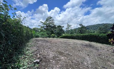 TERRENO DE VENTA, URBANIZACION, FINCA, QUINTA, HACIENDA, LOTIZACION, SECTOR PUERTO QUITO, PEDRO VICENTE MALDONADO , PICHINCHA, ECUADOR.