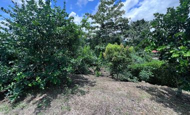 TERRENO DE VENTA, URBANIZACION, FINCA, QUINTA, HACIENDA, LOTIZACION, SECTOR PUERTO QUITO, PEDRO VICENTE MALDONADO , PICHINCHA, ECUADOR.