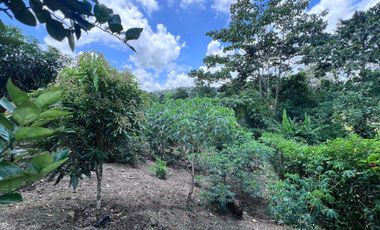 TERRENO DE VENTA, URBANIZACION, FINCA, QUINTA, HACIENDA, LOTIZACION, SECTOR PUERTO QUITO, PEDRO VICENTE MALDONADO , PICHINCHA, ECUADOR.