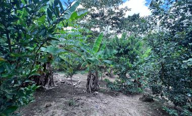 TERRENO DE VENTA, URBANIZACION, FINCA, QUINTA, HACIENDA, LOTIZACION, SECTOR PUERTO QUITO, PEDRO VICENTE MALDONADO , PICHINCHA, ECUADOR.