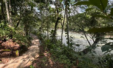 TERRENO DE VENTA, URBANIZACION, FINCA, QUINTA, HACIENDA, LOTIZACION, SECTOR PUERTO QUITO, PEDRO VICENTE MALDONADO , PICHINCHA, ECUADOR.