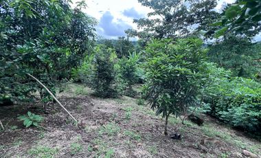 TERRENO DE VENTA, URBANIZACION, FINCA, QUINTA, HACIENDA, LOTIZACION, SECTOR PUERTO QUITO, PEDRO VICENTE MALDONADO , PICHINCHA, ECUADOR.