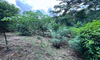 TERRENO DE VENTA, URBANIZACION, FINCA, QUINTA, HACIENDA, LOTIZACION, SECTOR PUERTO QUITO, PEDRO VICENTE MALDONADO , PICHINCHA, ECUADOR.