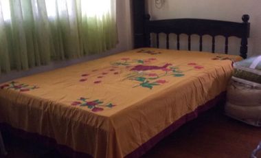 HOUSE AND LOT FOR SALE IN DUMAGUETE CITY ID 14986