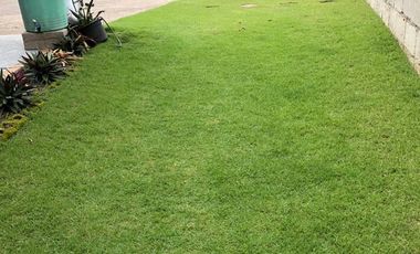 HOUSE AND LOT FOR SALE IN DUMAGUETE CITY ID 14986