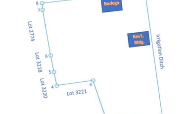 2.9 hectares (29,157 sqms) Agricultural lot for sale in Sto Domingo, Nueva Ecija