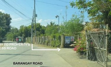 2.9 hectares (29,157 sqms) Agricultural lot for sale in Sto Domingo, Nueva Ecija