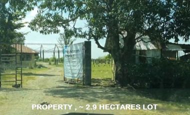 2.9 hectares (29,157 sqms) Agricultural lot for sale in Sto Domingo, Nueva Ecija