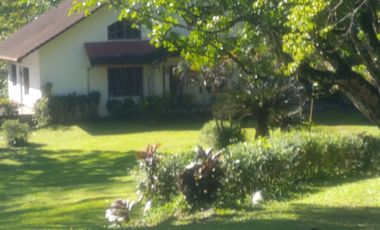 House with Huge 7,000 sqm Lot – Ideal for Home or Investment