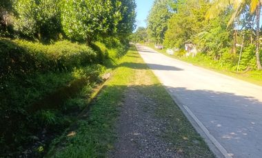 House with Huge 7,000 sqm Lot – Ideal for Home or Investment