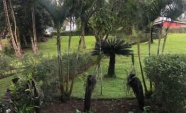 House with Huge 7,000 sqm Lot – Ideal for Home or Investment