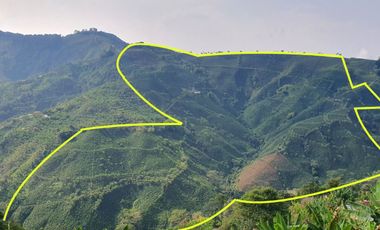 EN VENTA FINCA CAFETERA DE 120 CUADRAS EN SANTUARIO,RISARALDA