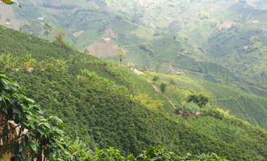 EN VENTA FINCA CAFETERA DE 120 CUADRAS EN SANTUARIO,RISARALDA