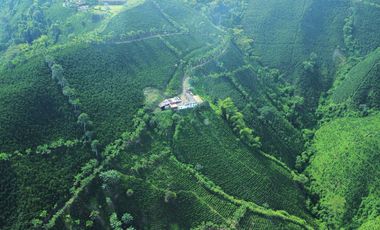 EN VENTA FINCA CAFETERA DE 120 CUADRAS EN SANTUARIO,RISARALDA