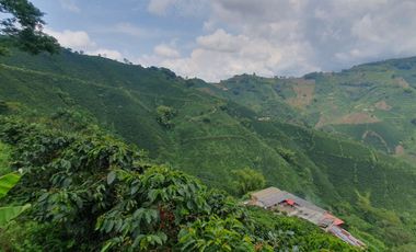 EN VENTA FINCA CAFETERA DE 120 CUADRAS EN SANTUARIO,RISARALDA