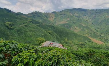 EN VENTA FINCA CAFETERA DE 120 CUADRAS EN SANTUARIO,RISARALDA
