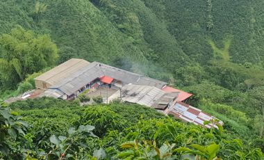 EN VENTA FINCA CAFETERA DE 120 CUADRAS EN SANTUARIO,RISARALDA