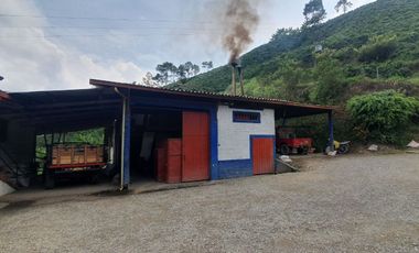 EN VENTA FINCA CAFETERA DE 120 CUADRAS EN SANTUARIO,RISARALDA